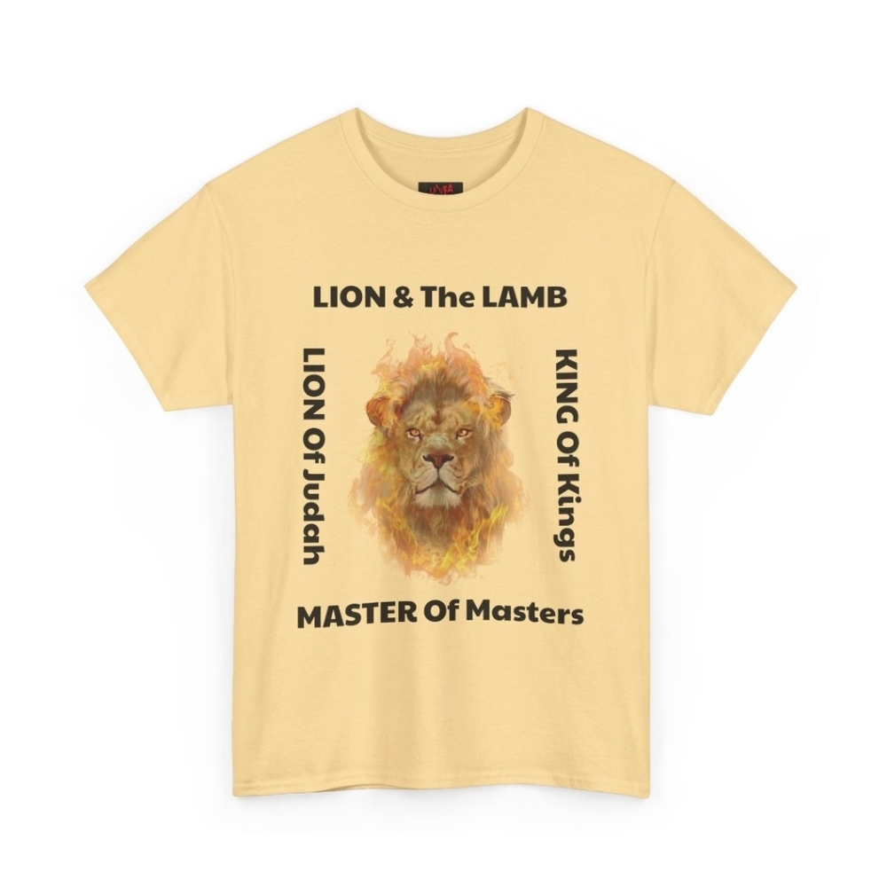 Holy Titles Unisex Heavy Cotton Tee